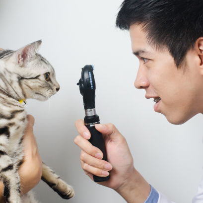 ศูนย์การแพทย์เฉพาะด้านดวงตา